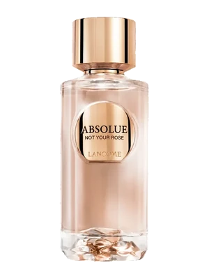 Absolue Not Your Rose