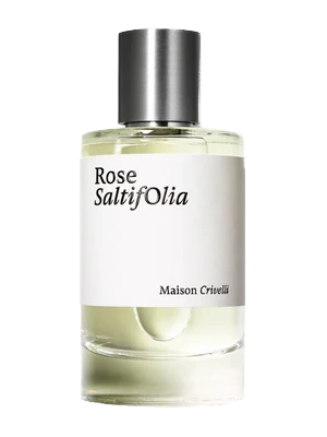 Maison Crivelli Rose Saltifolia