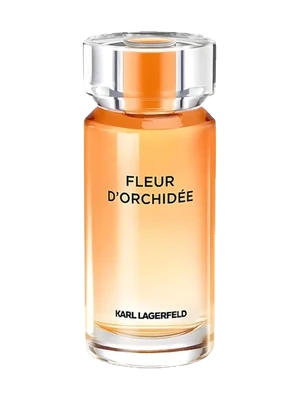 Fleur d'Orchidée