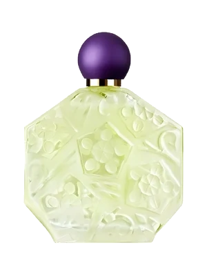 Fleurs d'Ombre Violette-Menthe