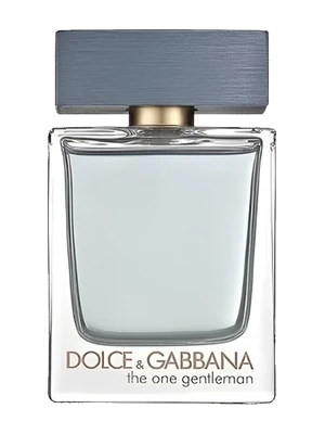 Dolce & Gabbana The One Gentleman
