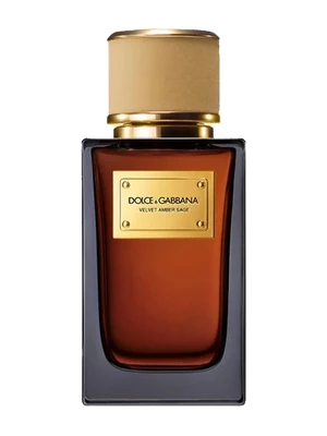 Dolce & Gabbana Velvet Amber Sage