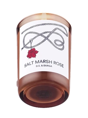 Salt Marsh Rose