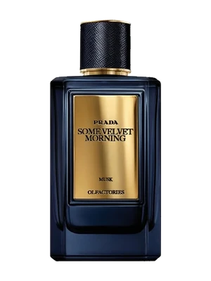 Prada Mirages Some Velvet Morning