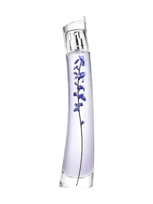 Flower Ikebana Indigo