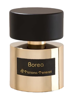 Tiziana Terenzi Borea