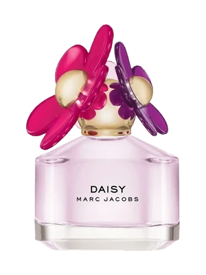 Daisy Sorbet