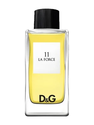 Dolce & Gabbana D&G Anthology La Force 11