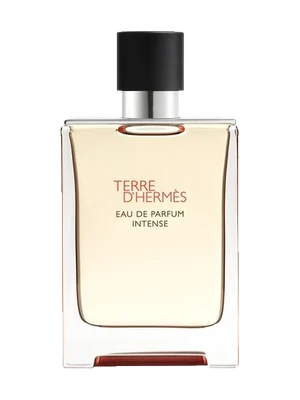Hermès Terre d'Hermès Eau de Parfum Intense