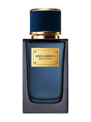 Dolce & Gabbana Velvet Blue Musk