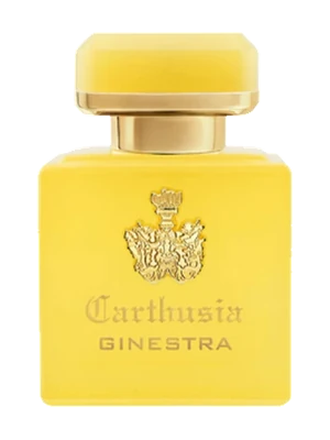 Carthusia Intenso di Ginestra