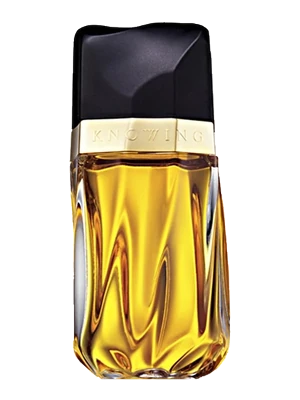 Estée Lauder Knowing