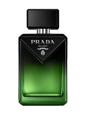 Paradigme Le Parfum