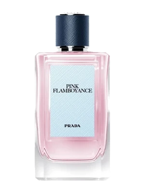Pink Flamboyance