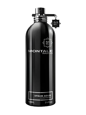 Steam Aoud (Aoud Hoggar Mota)