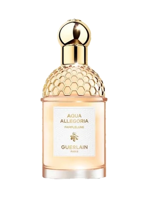 Aqua Allegoria Pamplelune
