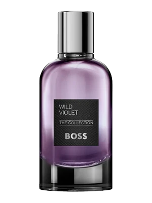 The Collection Wild Violet