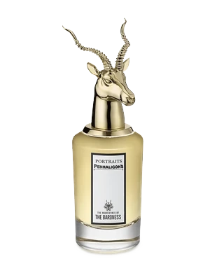 The Manoeuvres of the Baroness
