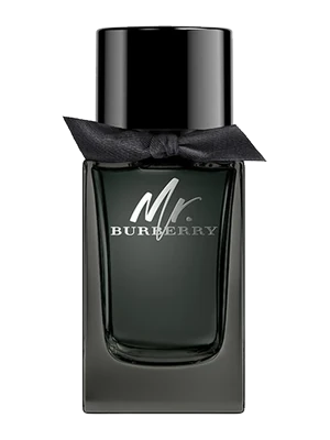 Mr. Burberry