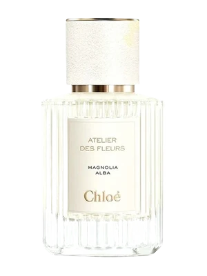 Atelier des Fleurs Magnolia Alba