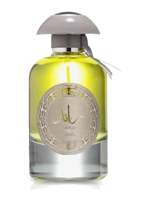 Image de Raed Silver
