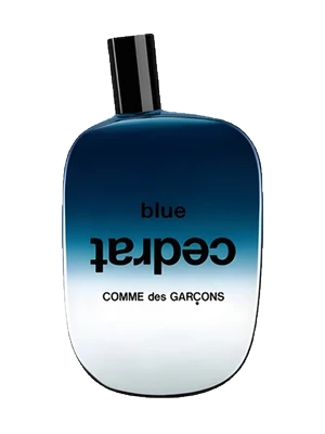 Comme des Garçons Blue Cedrat