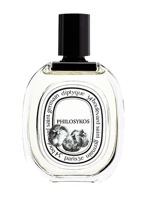 Image de Philosykos