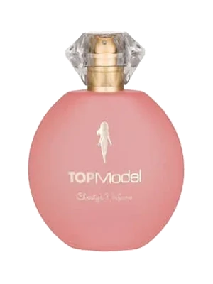 TOPModel - Christy