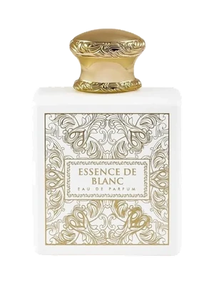 Santa Maria Novella L'Oud