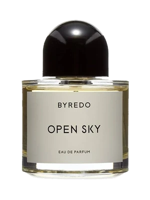 Open Sky