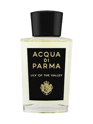 Lily of the Valley