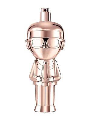 Karl Lagerfeld Karl Ikonik Pour Femme