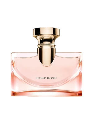 Splendida Rose Rose