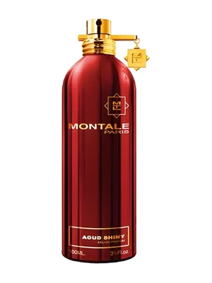 Aoud Shiny