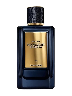 Prada Mirages Moonlight Shadow