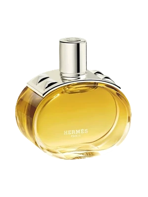 Hermès Barénia Intense