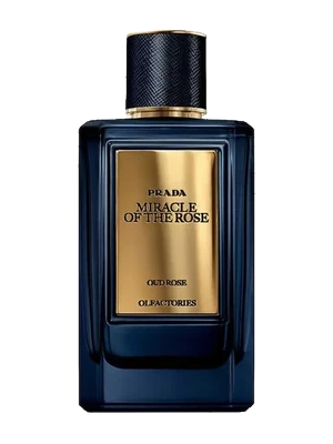 Prada Mirages Miracle of the Rose