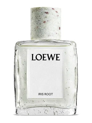 Loewe Iris Root