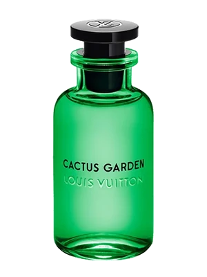 Cactus Garden
