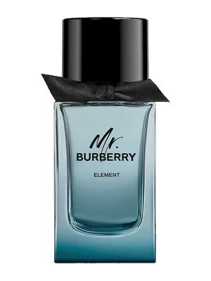 Burberry Mr. Burberry Element
