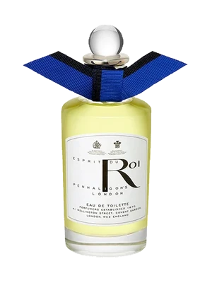Image de Esprit du Roi