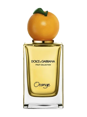 Fruit Collection Orange