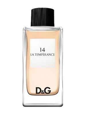 D&G Anthology La Temperance 14