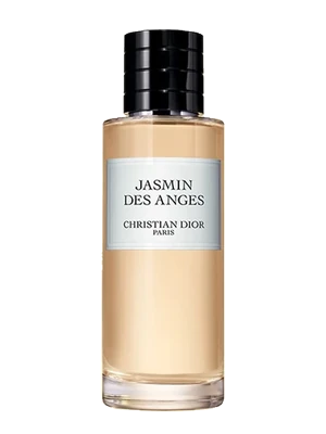 Jasmin des Anges