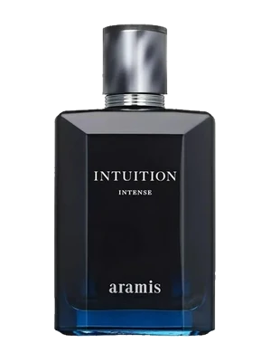 Intuition Intense