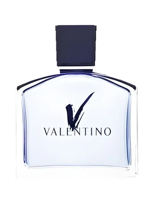 V Pour Homme