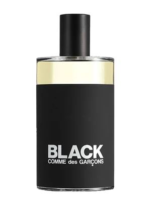 Comme des Garçons Black