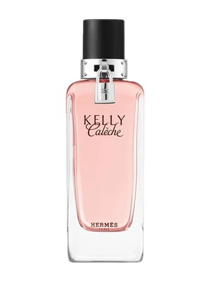 Hermès Kelly Calèche