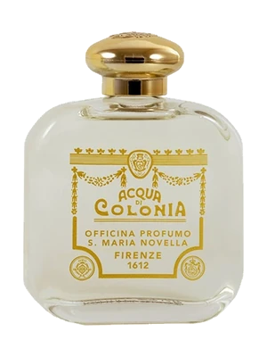 Santa Maria Novella Rosa