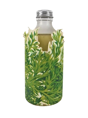 Fleur de Carotte